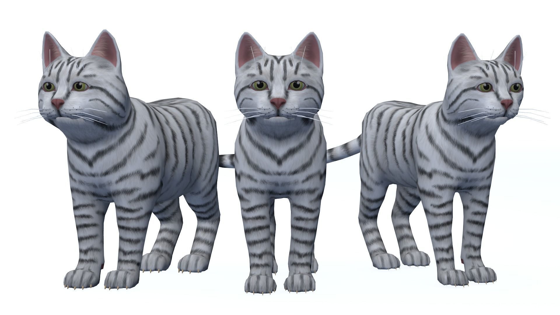 Cartoon Cats pack Low-poly 3D model_4