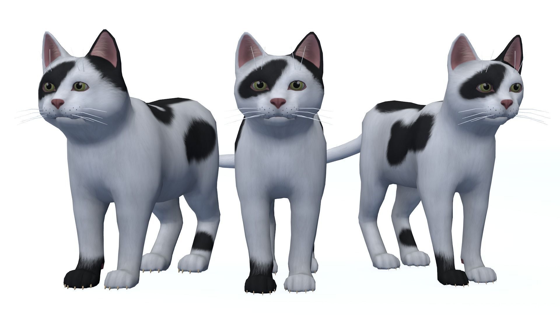 Cartoon Cats pack Low-poly 3D model_13