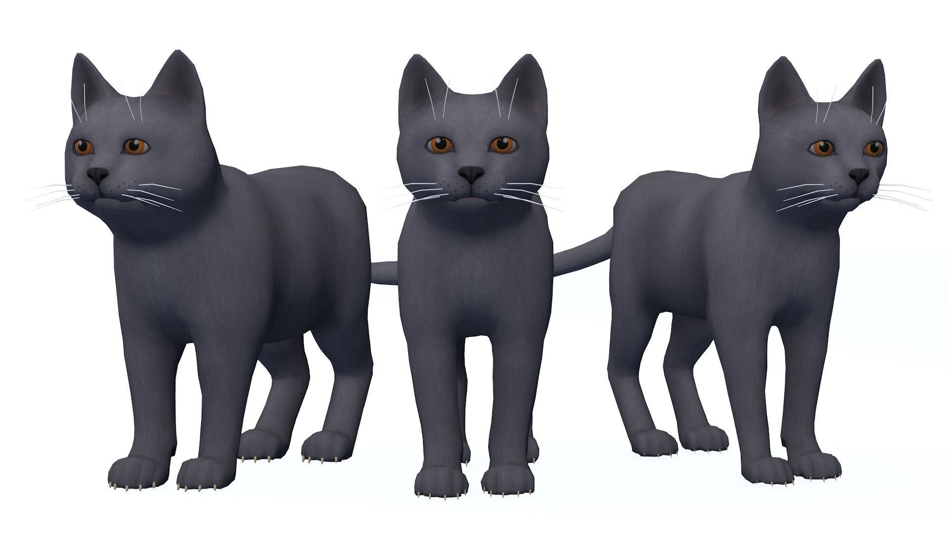 Cartoon Cats pack Low-poly 3D model_14