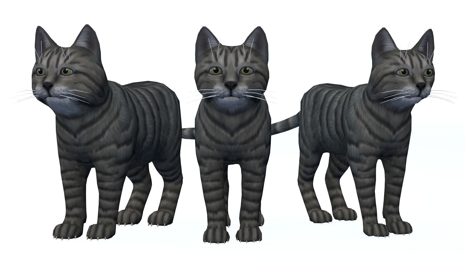 Cartoon Cats pack Low-poly 3D model_12