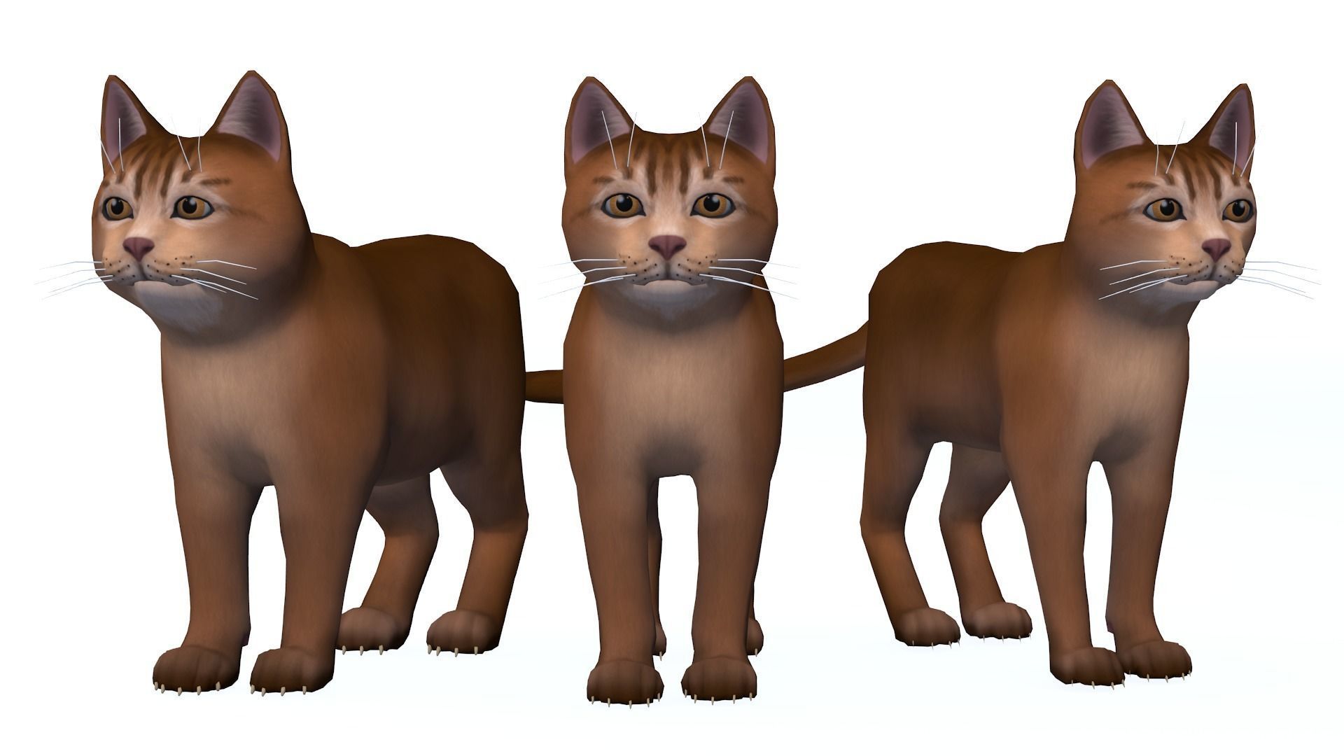 Cartoon Cats pack Low-poly 3D model_7
