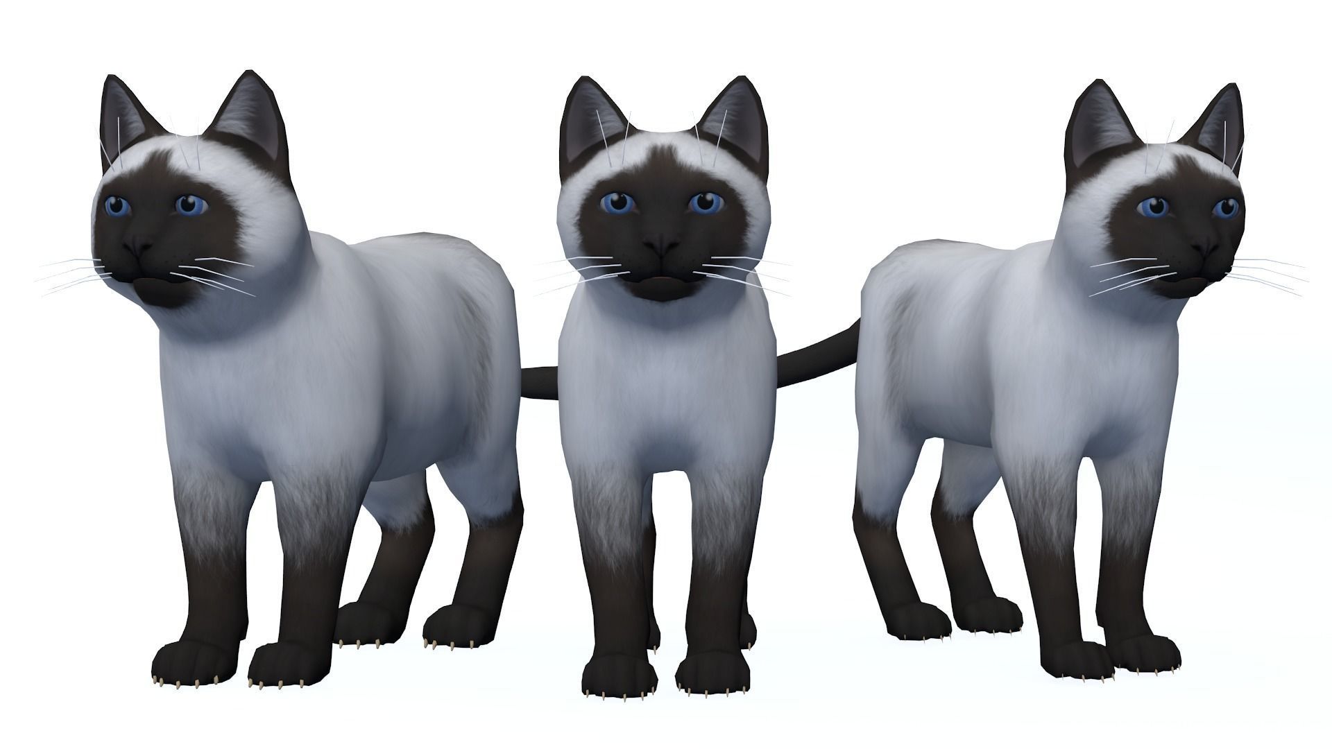 Cartoon Cats pack Low-poly 3D model_15