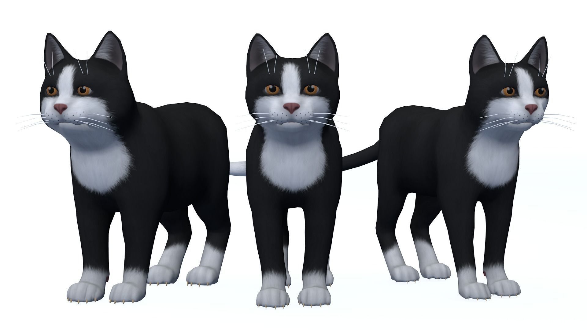 Cartoon Cats pack Low-poly 3D model_9