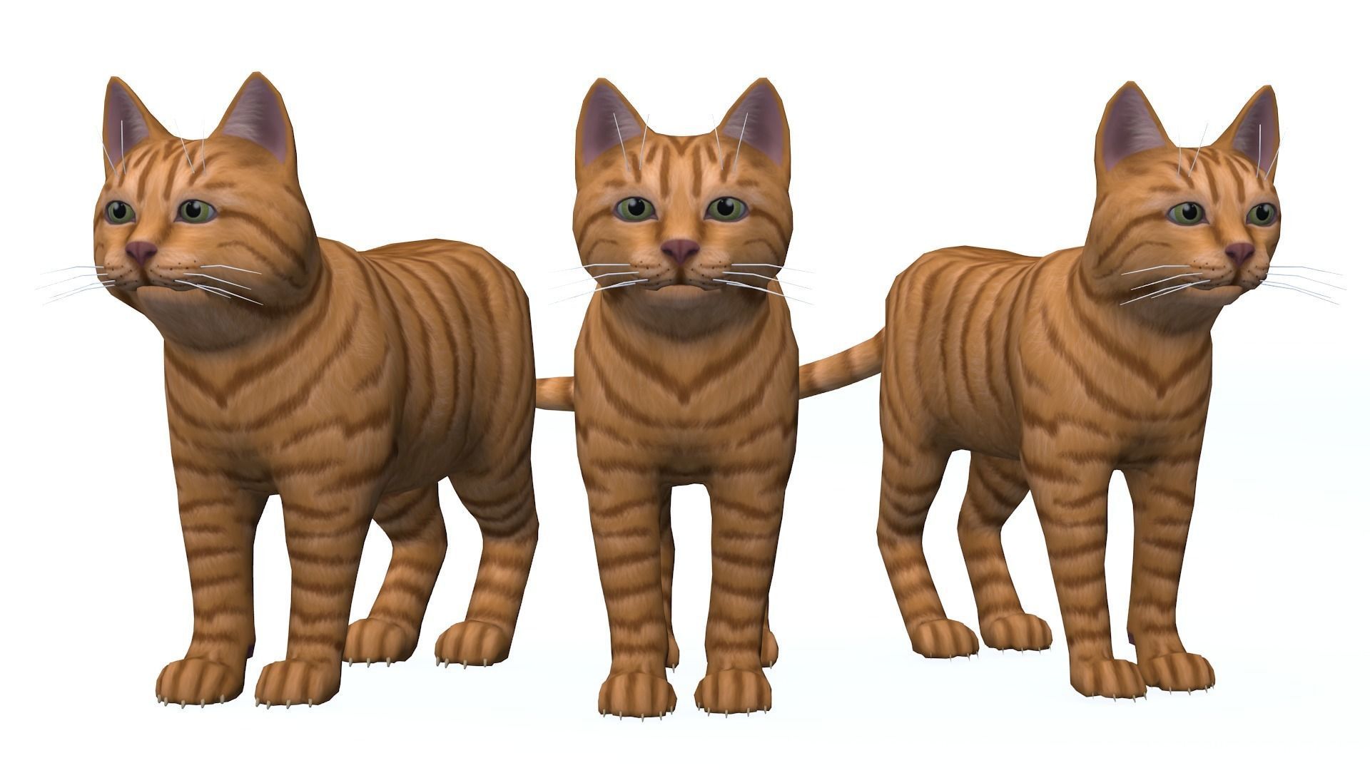 Cartoon Cats pack Low-poly 3D model_10