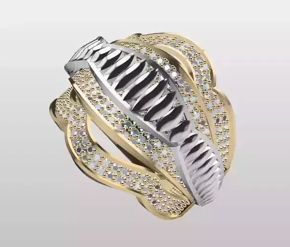 Double Piece Two-Color Ring