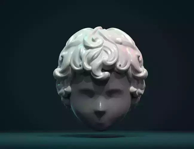 Curly Hair I 3D print model