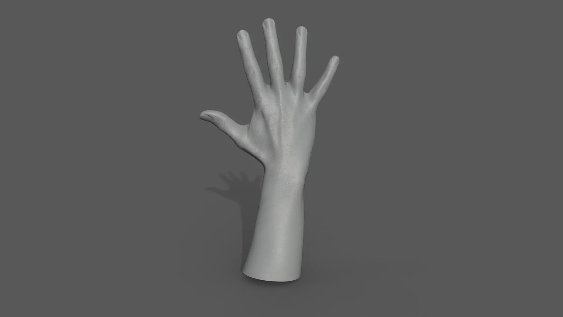 Hand 3d Model mannequin 3D model_0