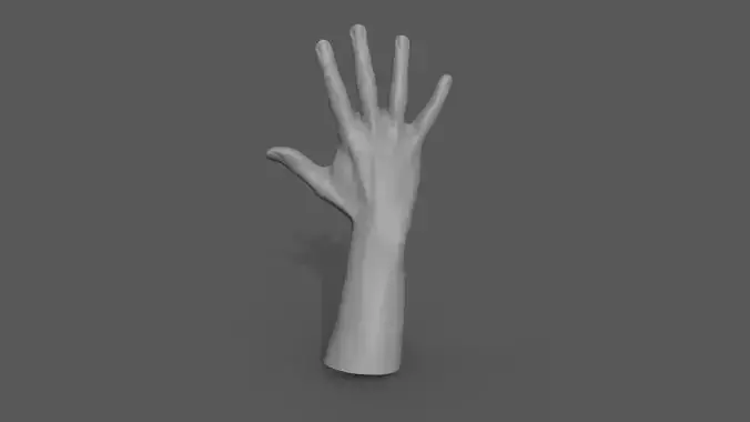 Hand 3d Model mannequin