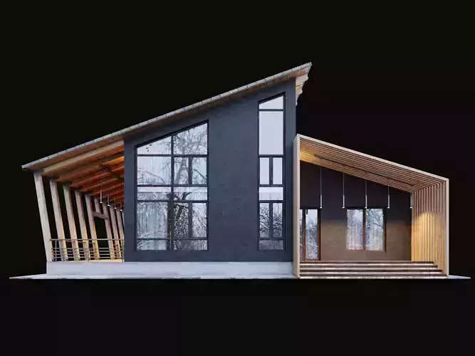 Modern House