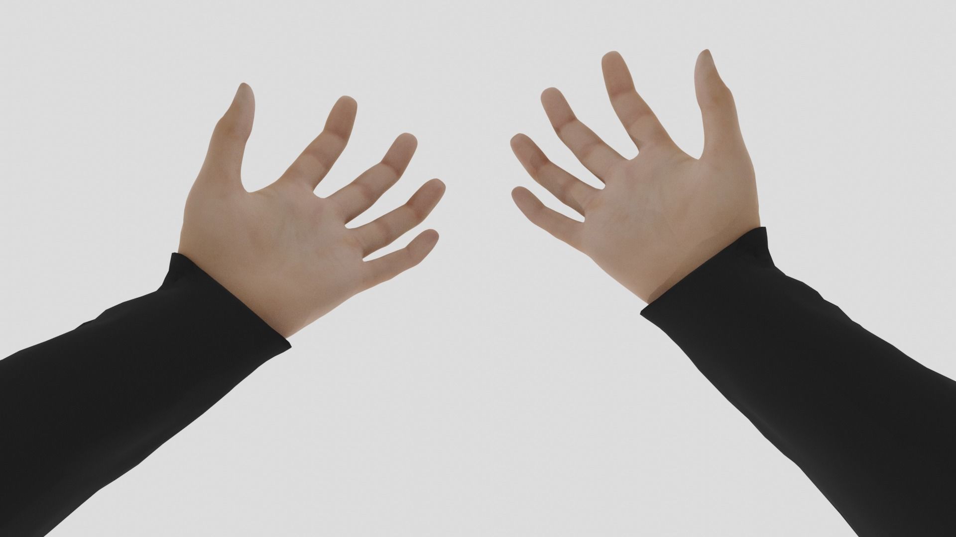 Rigged Hands 3d Model 3D model_1