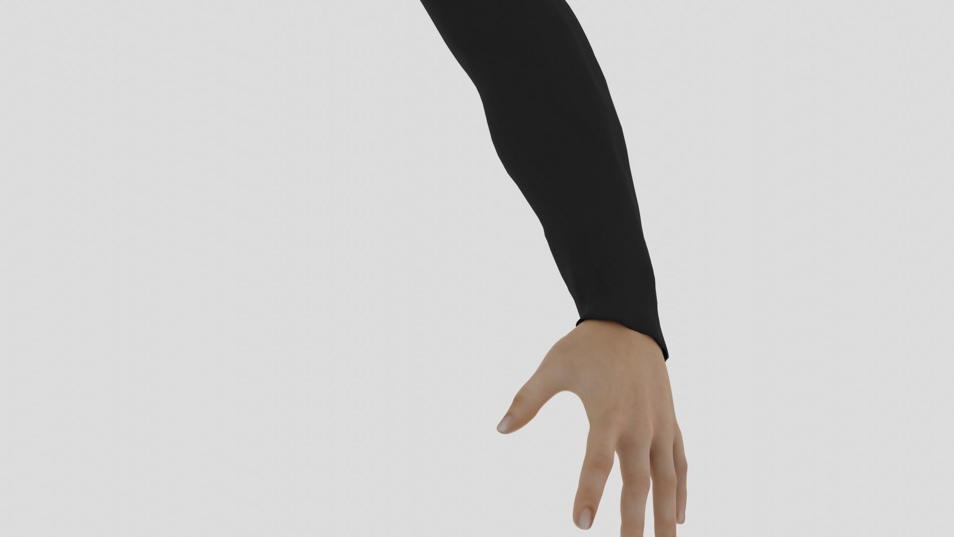 Rigged Hands 3d Model 3D model_3