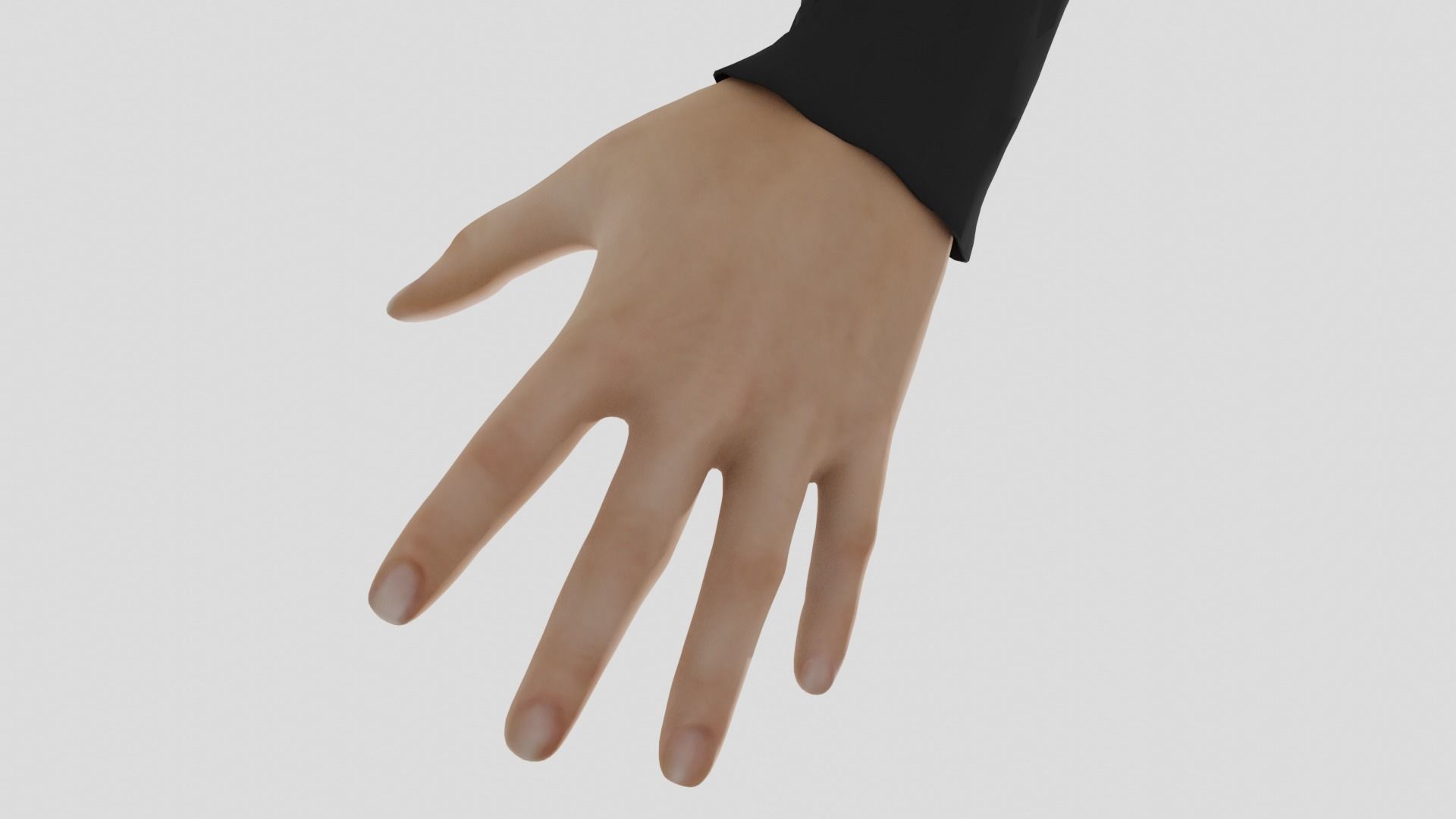 Rigged Hands 3d Model 3D model_2