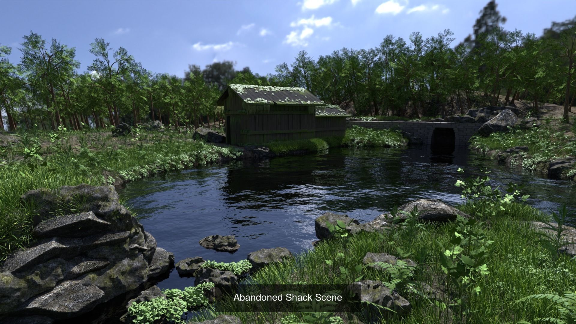 Exterior Nature Scene Collection _6