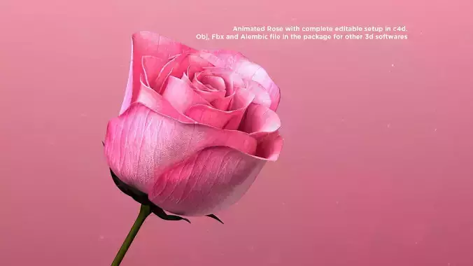 3d Rose Animated 3D model