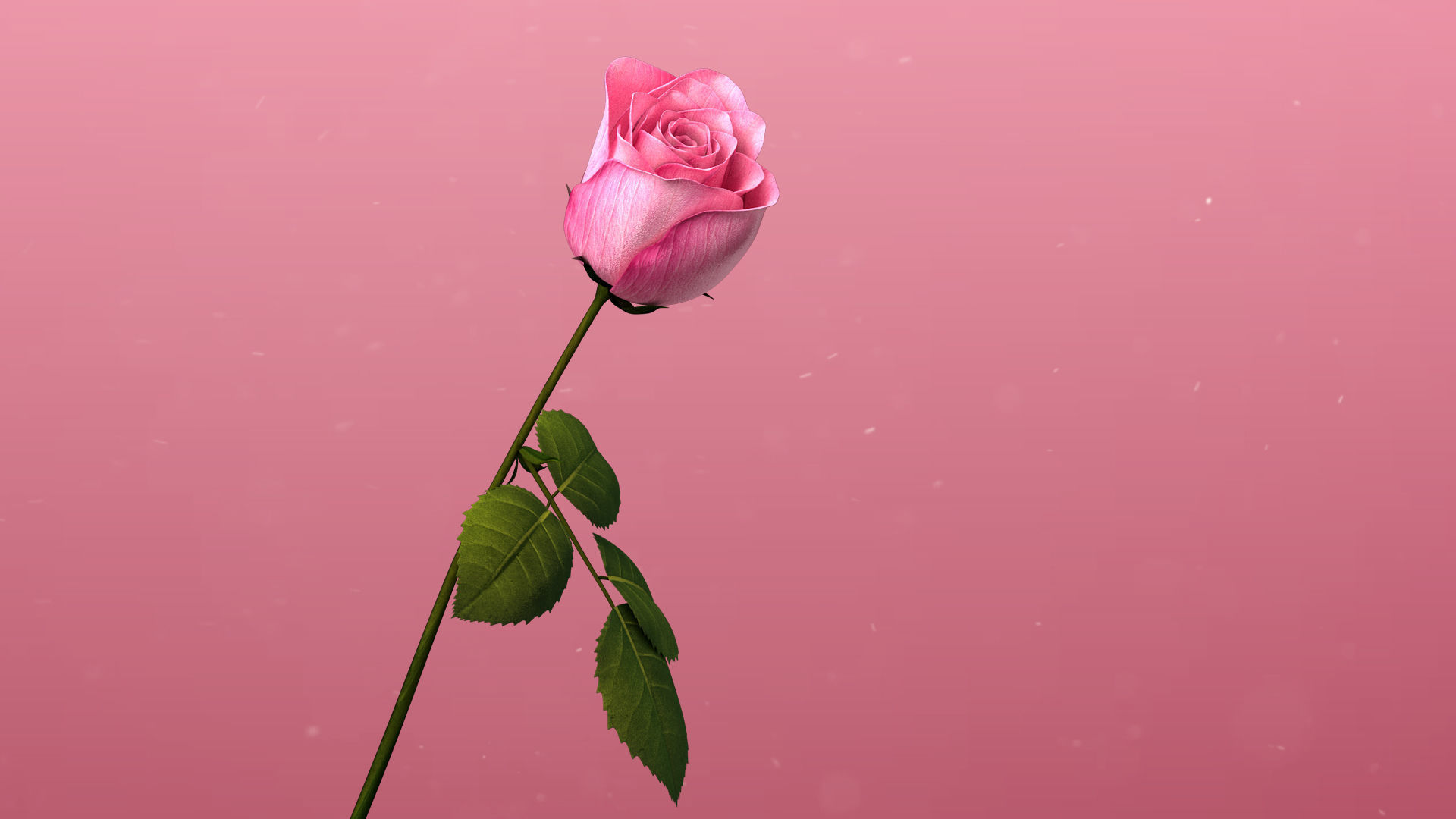 3d Rose Animated 3D model_7