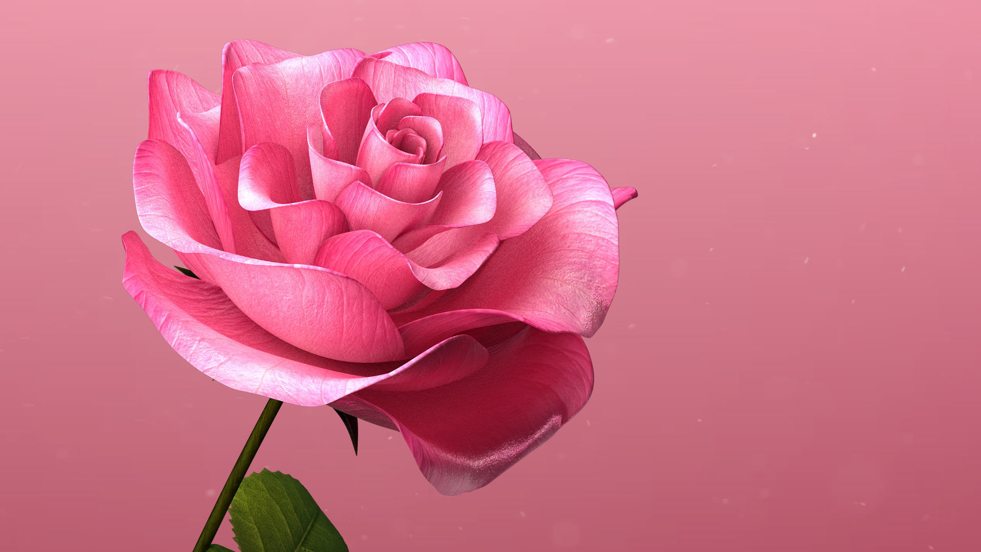 3d Rose Animated 3D model_5
