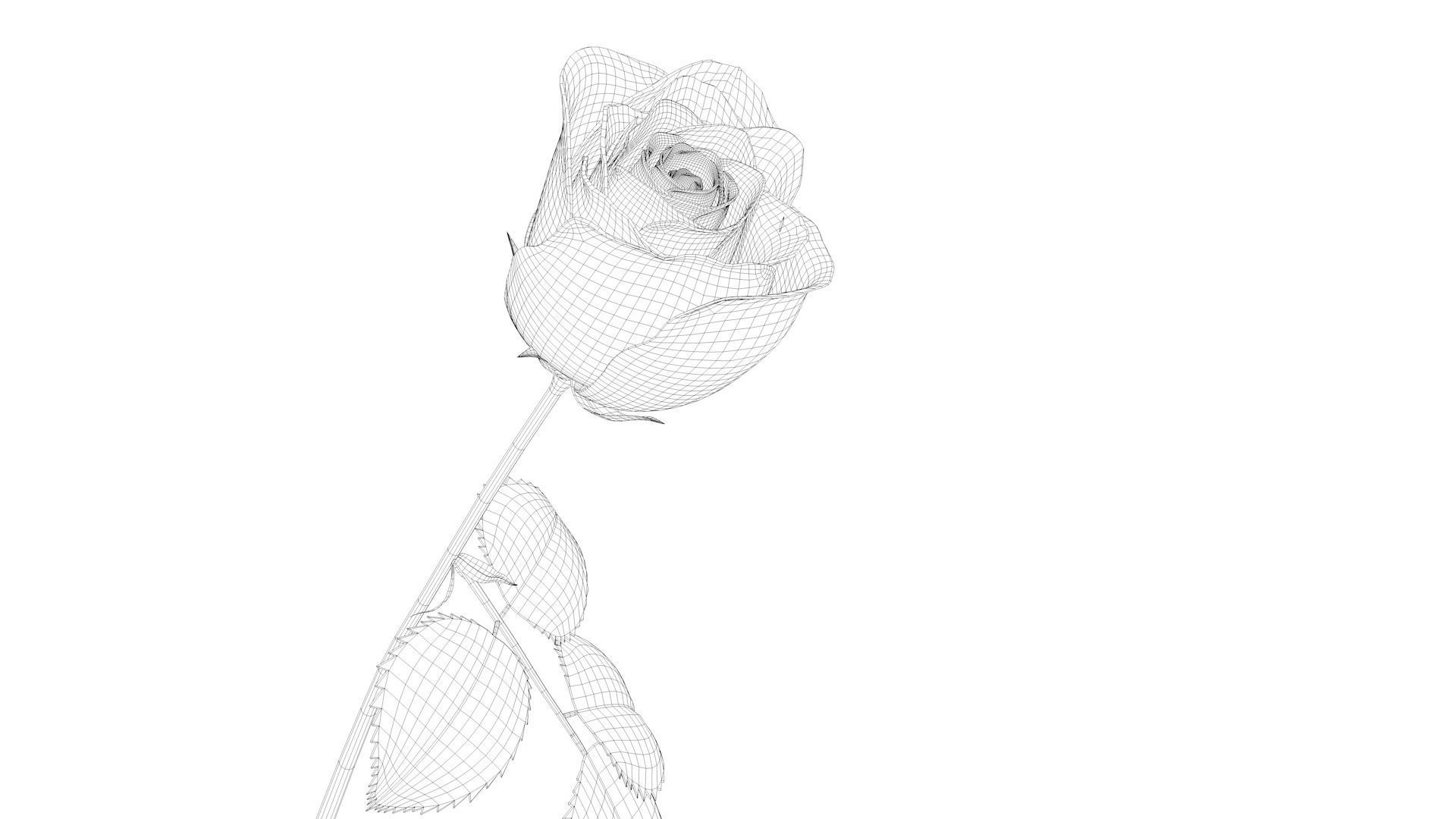3d Rose Animated 3D model_10