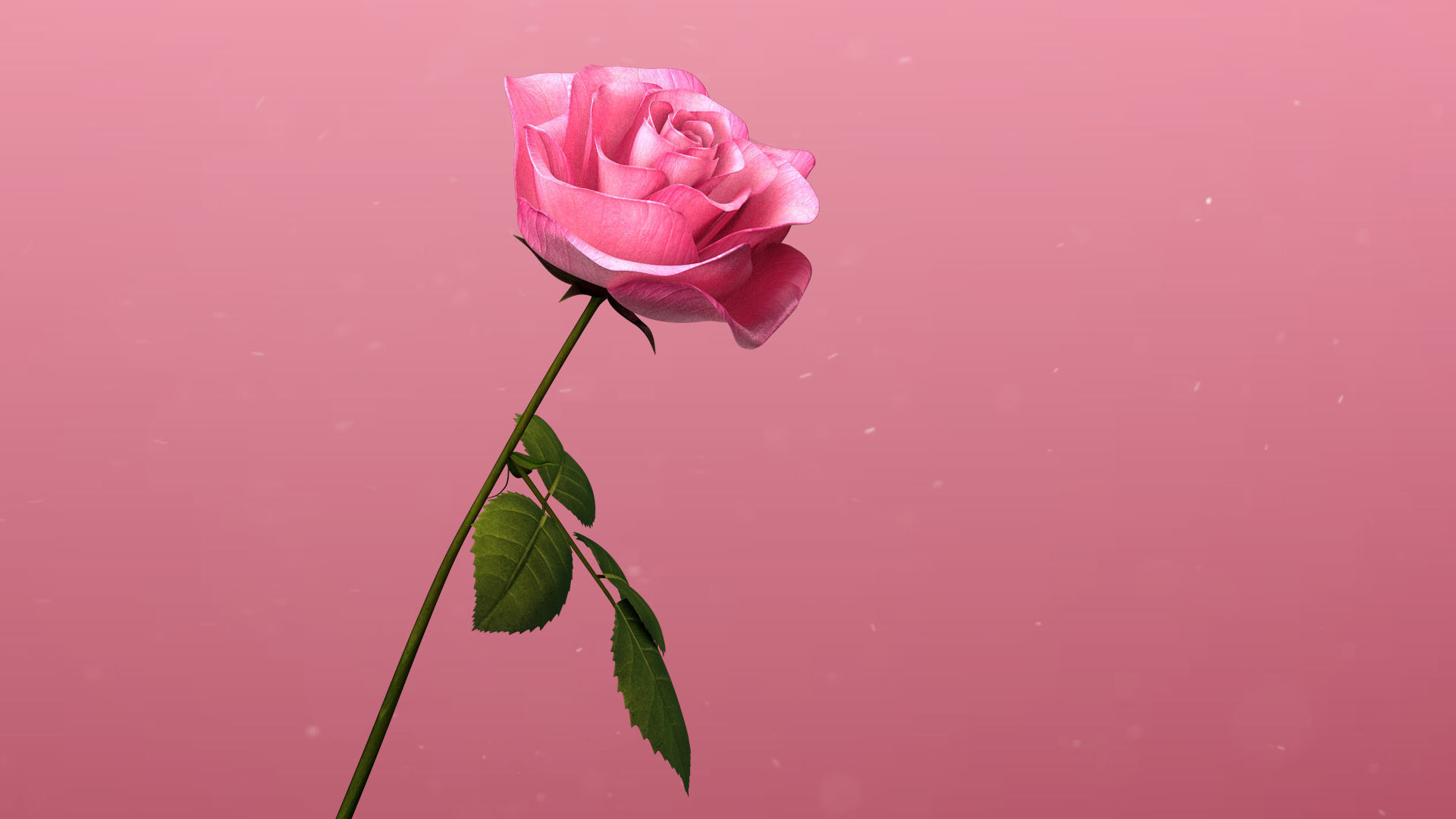 3d Rose Animated 3D model_6