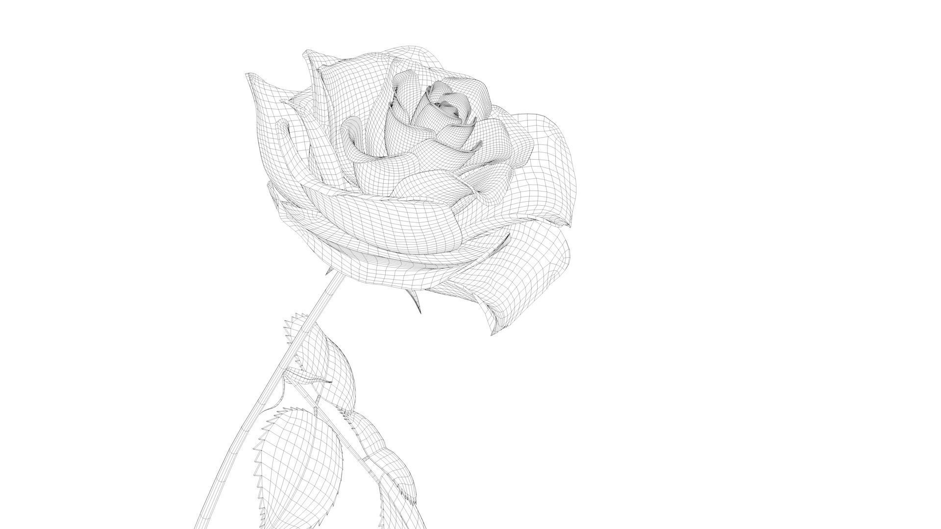 3d Rose Animated 3D model_11