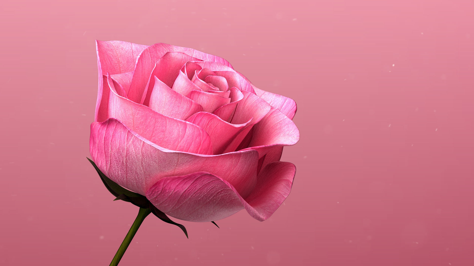 3d Rose Animated 3D model_4