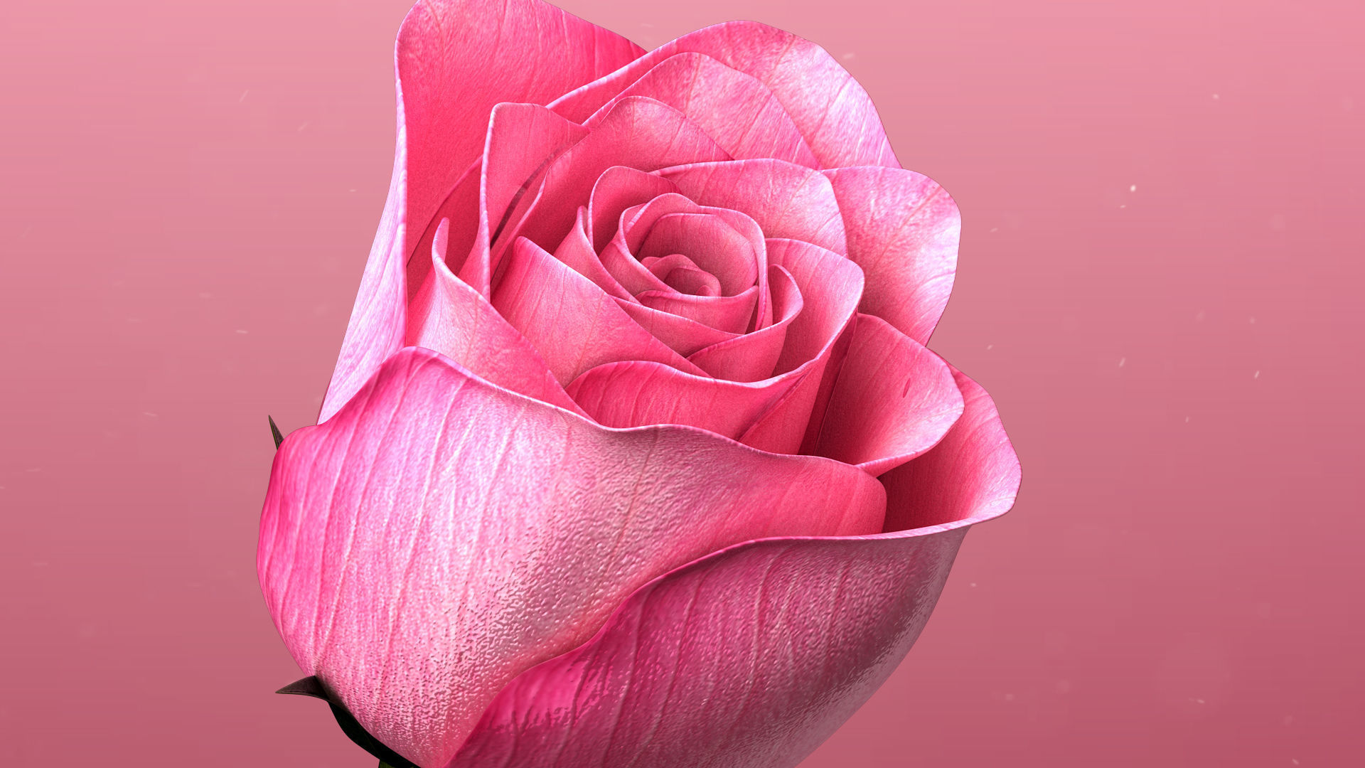 3d Rose Animated 3D model_8