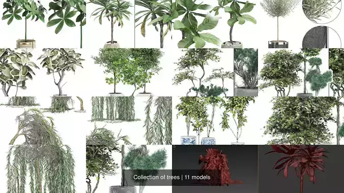 Collection of trees 