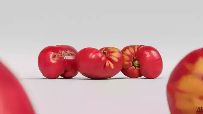 Tomato 3D model