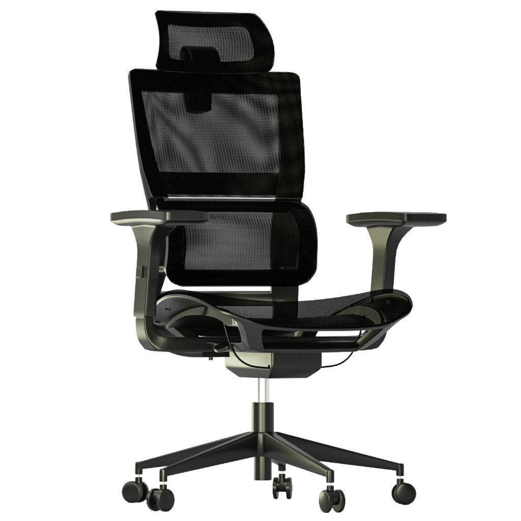 Innowin Capetown high back mesh office chair 3D model_1