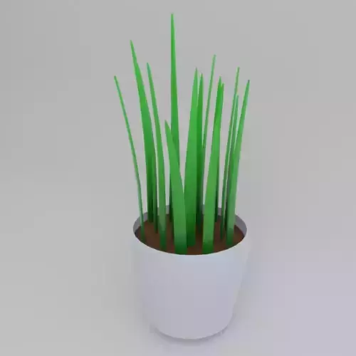 Minimal desk pot plant