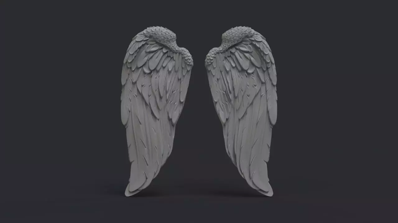 Angel wings 3D print model_0
