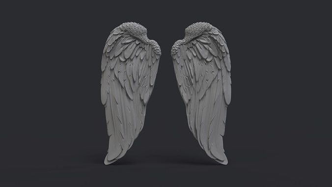 Angel wings 3D print model