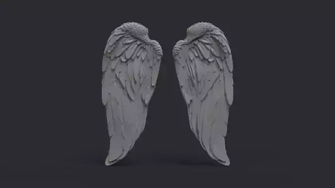Angel wings