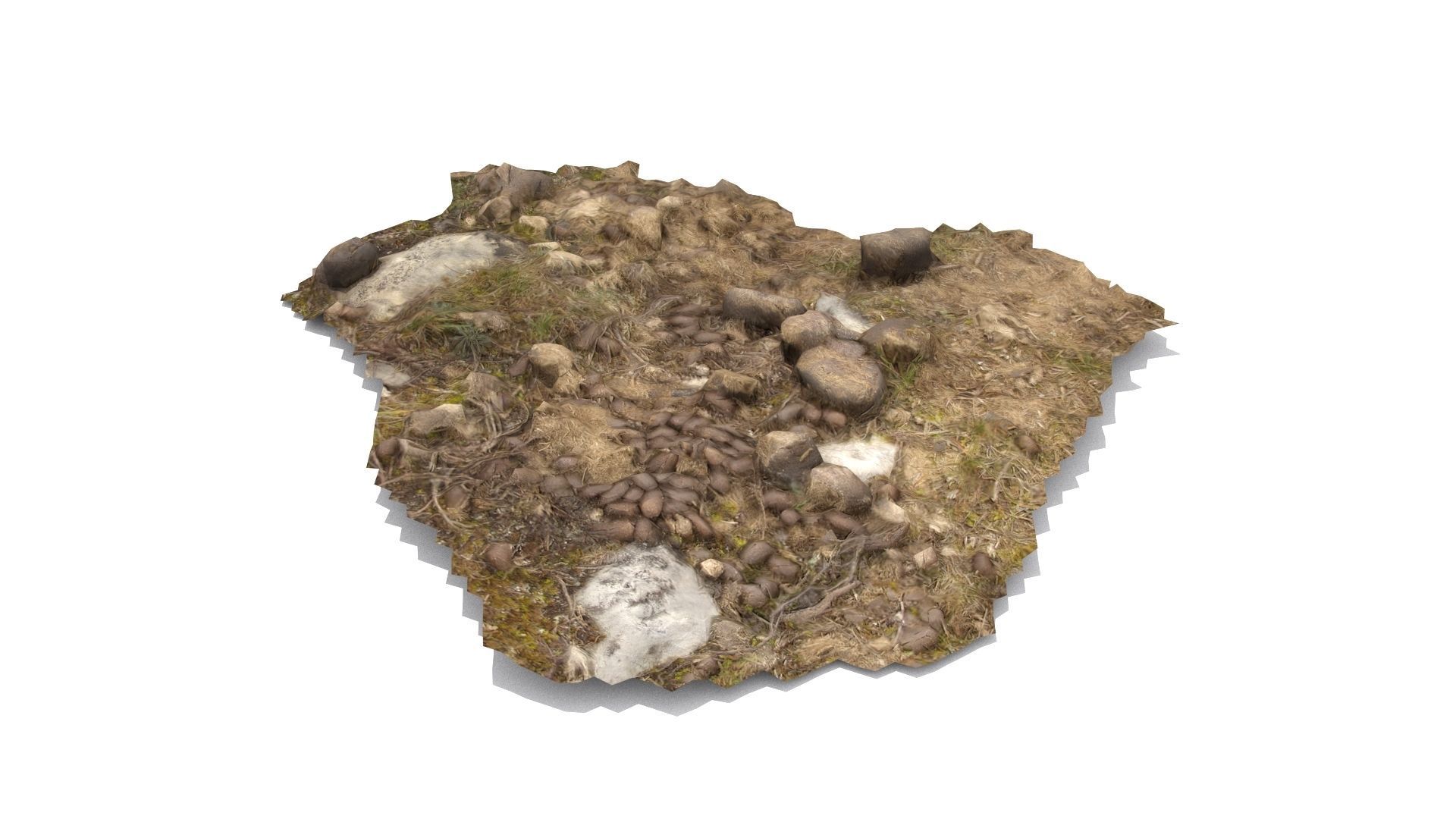 Farm animal manure set Low-poly 3D model_14