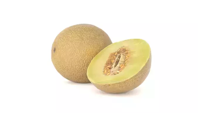 Galia Melon Fruit Photoscan Low-poly 3D model