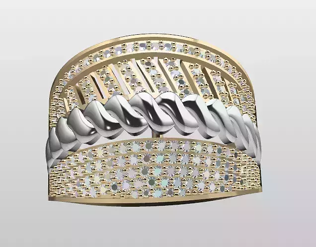 Double Piece Two-Color Ring