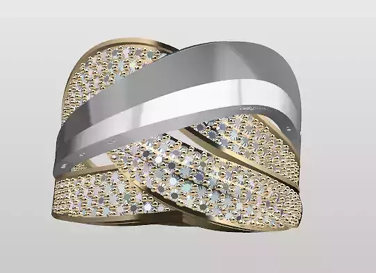 Double Piece Two-Color Ring