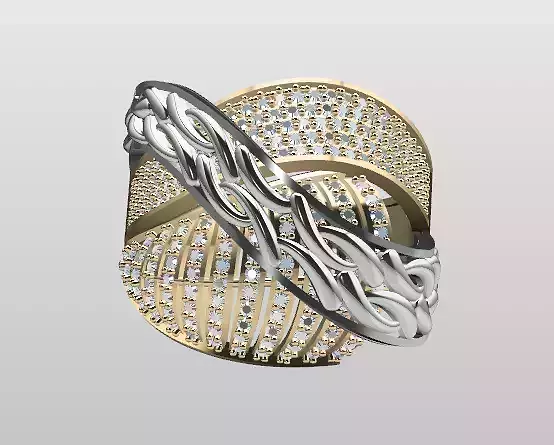 Double Piece Two-Color Ring