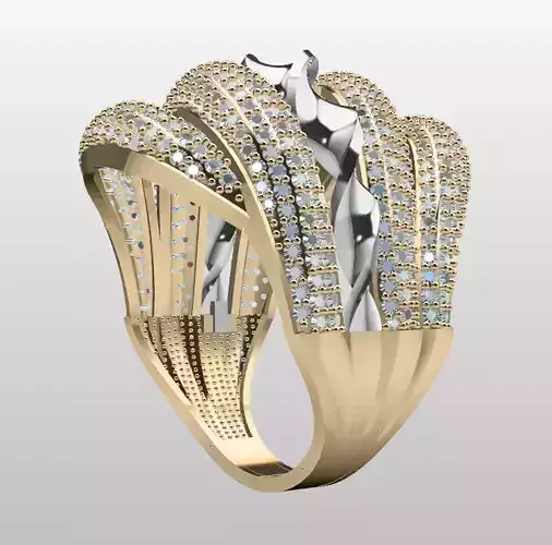 Double Piece Two-Color Ring