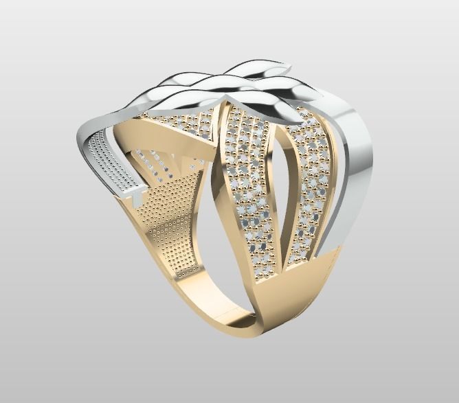 Double Piece Two-Color Ring 3D print model_1
