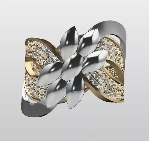 Double Piece Two-Color Ring 3D print model_0