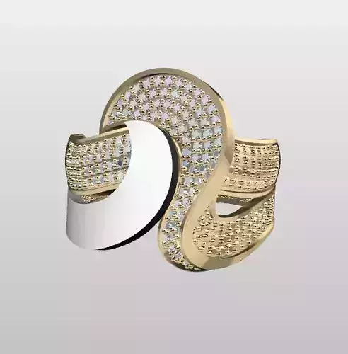 Double Piece Two-Color Ring