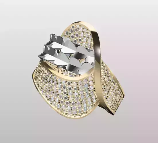 Double Piece Two-Color Ring