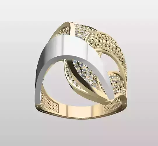 Double Piece Two-Color Ring
