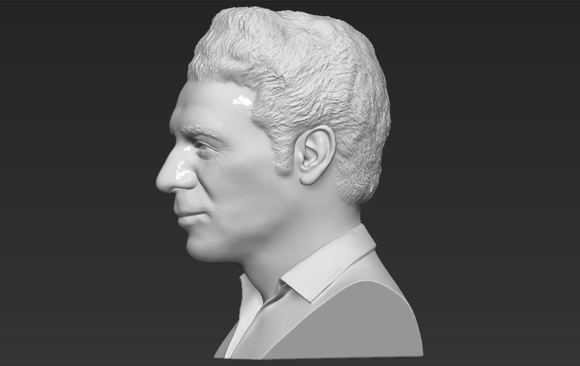 Cosmo Kramer from Seinfeld bust 3D printing ready stl obj 3D print model_9