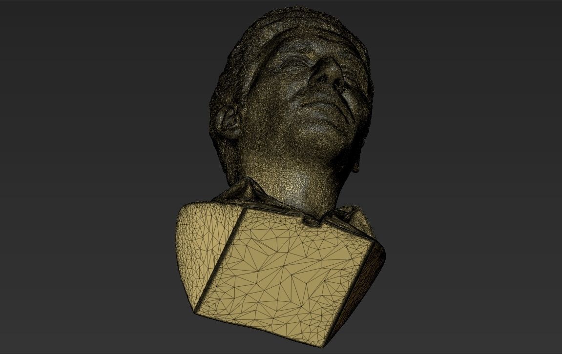 Cosmo Kramer from Seinfeld bust 3D printing ready stl obj 3D print model_31