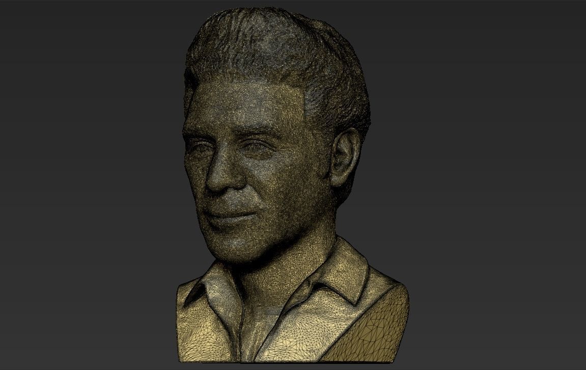 Cosmo Kramer from Seinfeld bust 3D printing ready stl obj 3D print model_29