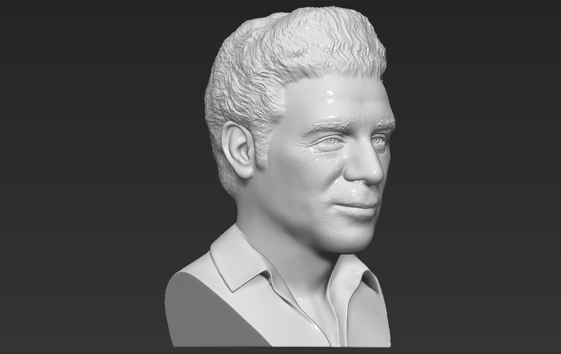 Cosmo Kramer from Seinfeld bust 3D printing ready stl obj 3D print model_15