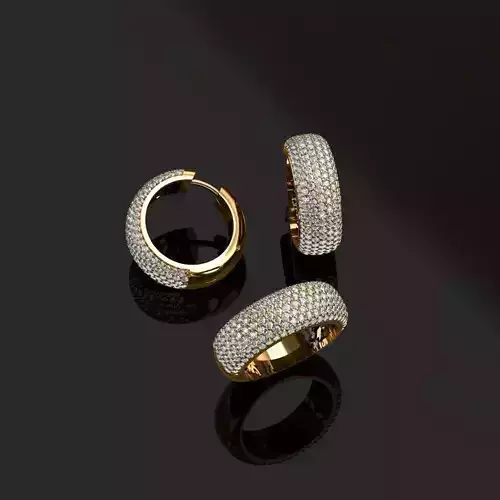 Ring and Earrings 