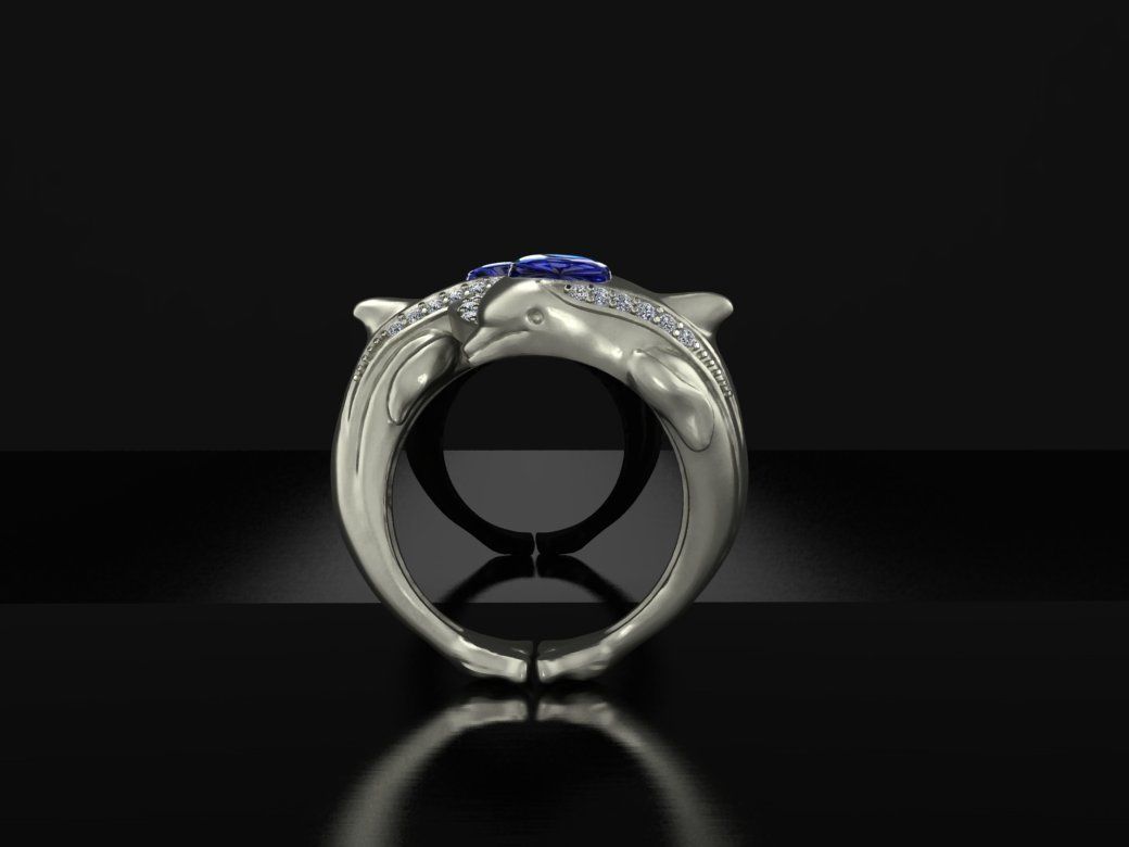 Ring Dolphins 3D print model_2