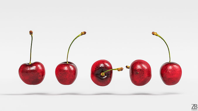 Cherry 3D model 5